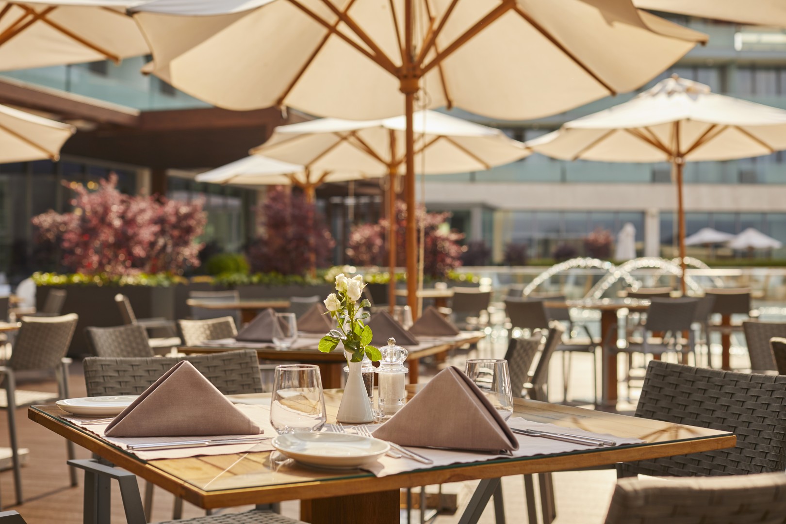 Adriatic_Istria_Resort_Restaurant_Dijana_terrace (Large)
